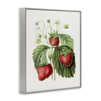 Étude de fraises rétro par lettrage et doublure