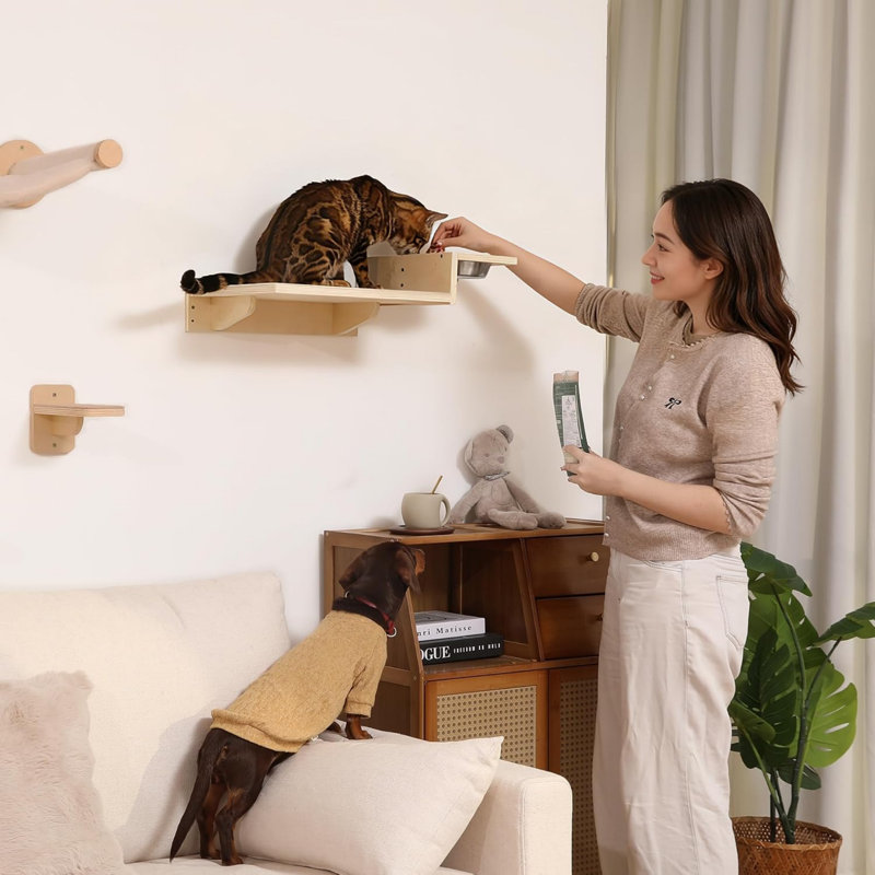 L'ensemble de tablettes murales pour chat en contreplaqué de bouleau peut supporter jusqu'à 40 lb, un plateau repas pour chat avec 304 bols en acier inoxydable et 2 marches en sisal pour chats d'intérieur