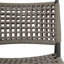 Doxie Outdoor Lounge Chair