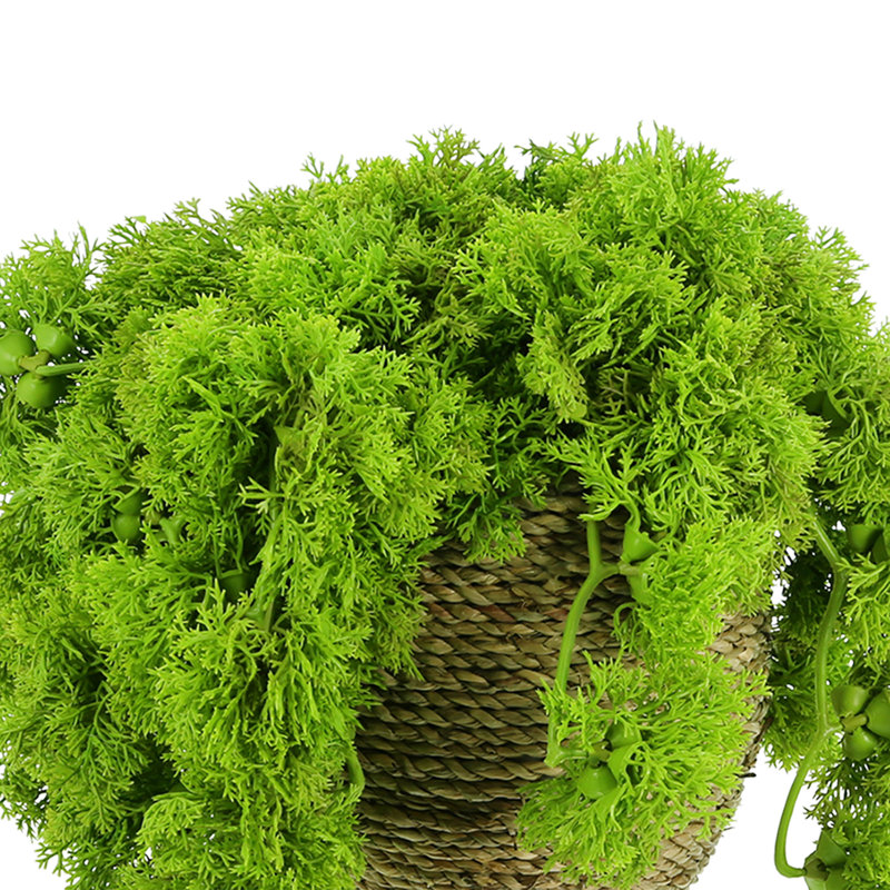 Norwood Faux Moss Plant in Pot