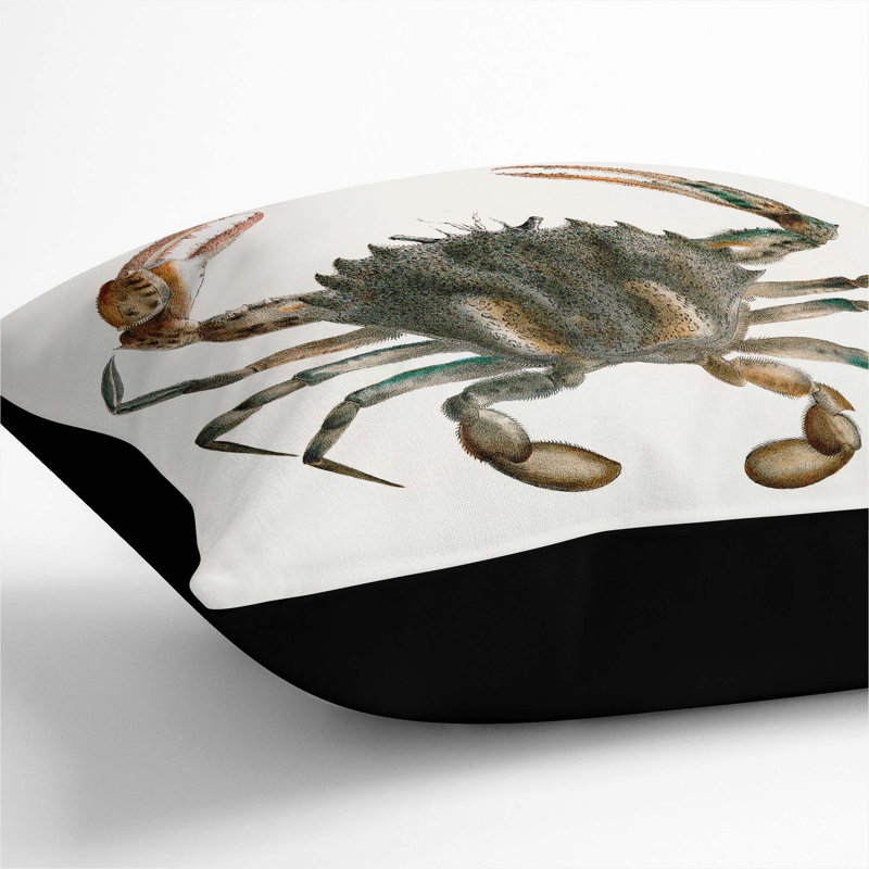 Square Throw Cushion, Black, 55cm H x 55cm W x 20cm D