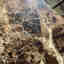 Photos des clients 1 de 5