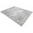 Oriental Indoor Rug-577719522