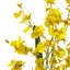 Arrangement floral dans une vase-1226068040