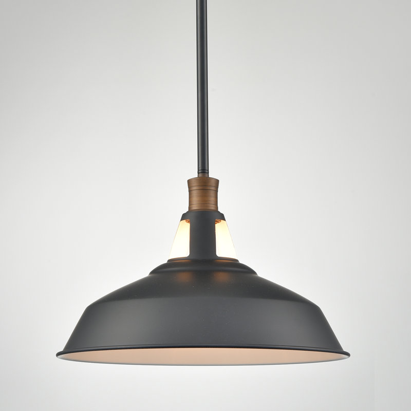 Ayushi 1 - Light Black Dome Pendant