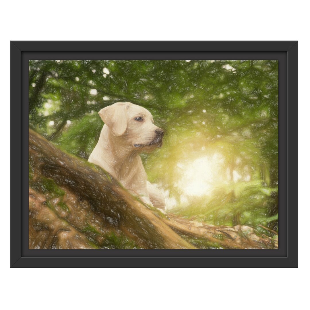 Gerahmtes Wandbild Labrador WelpeWald