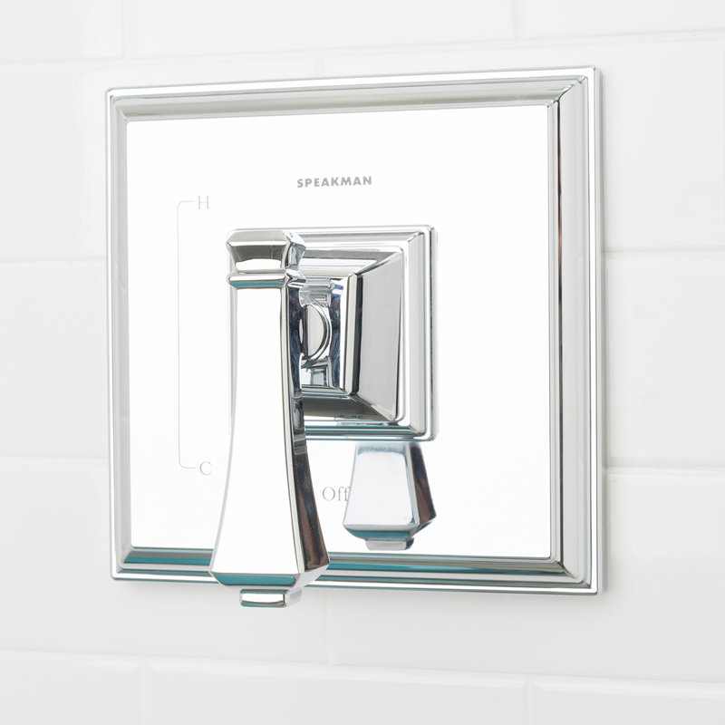 Rainier Shower Valve Trim
