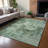 Machine Washable Indoor/Outdoor Earleville ACN2360 Casual Rug-1394976474