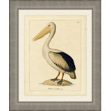 Pelican Print