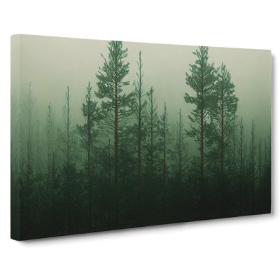 Fabulous Pine Tree Forest - Wrapped Canvas