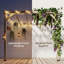 Pergola-122949023