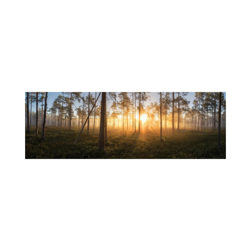Panorama Of Silence by Andreas Stridsberg - Wrapped Canvas Panoramic Print, 121.92 cm H x 40.64 cm W x 1.91 cm D
