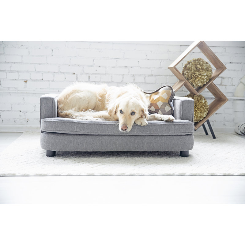 Canapé-lit pour chien Furniture Bartlett