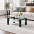 Ensemble de 2 tables basses modernes en verre, rangement à 2 niveaux, plateau en verre trempé, structure en métal