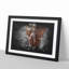 Elephant Vol.1 Paint Splash - Picture Frame Graphic Art-62796602-62796605