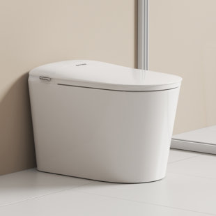 Smart Toilet - Ada Height Heated Seat, Tankless Auto-flush, Foot Sensor, Night Light, Modern Elongated One-piece For Bathrooms