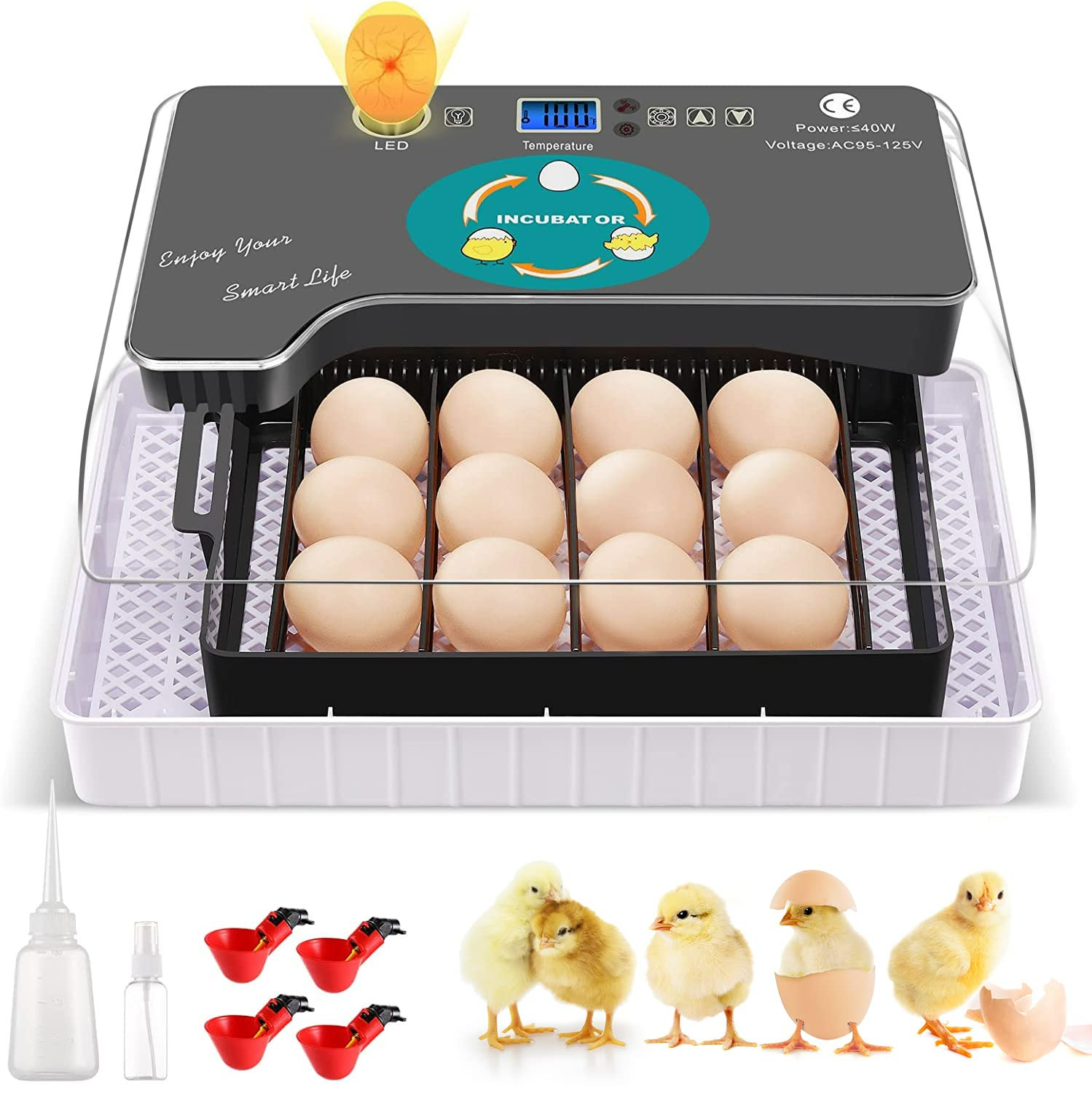 Chicken Egg Processing Machine Duck Egg Scrubber Washing Cleaning Roller  Brush - Buy Chicken Egg Processing Machine Duck Egg Scrubber Washing  Cleaning Roller Brush Product on