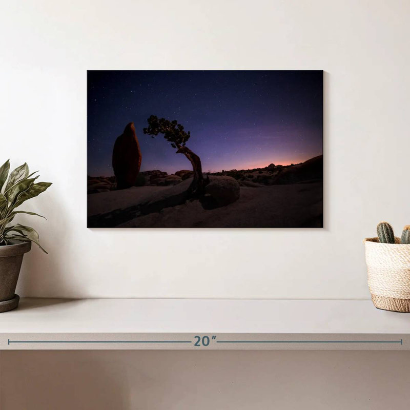 Nicci Joshua Tree, paysage nocturne, H 8 po x l 12 po