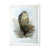White Picture Frame