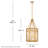 Hinkley Sura Large Pendant By Lisa McDennon