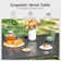 Alyah Rectangular 6 - Person 60" Long Dining Set with Umbrella