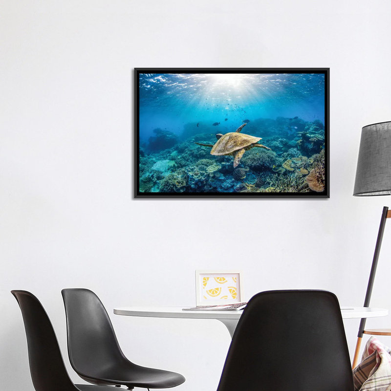 Reef Glider par Jordan Robins - reproduction d'art, Pas de tapis, Toile encadrée noire, H 18 po x l 26 po x P 1,5 po