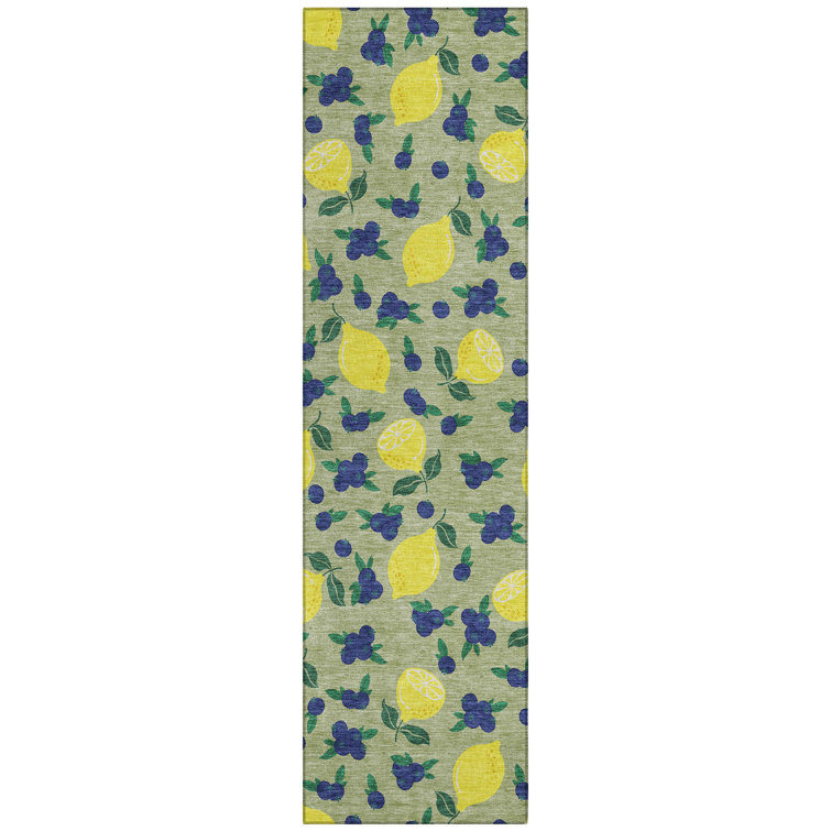 Machine Washable Indoor/Outdoor Bourkelands ACN2354 Fruits Rug