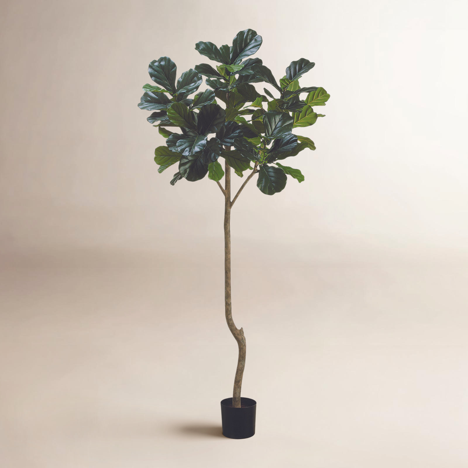 Weatherhill 84" Fiddle Leaf Fig Tree