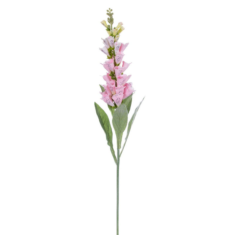 Fuchsia Arrangement, Pink