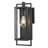 14.25 in. 1-Light Matte Black Outdoor Wall Lantern With Clear Glass Panes