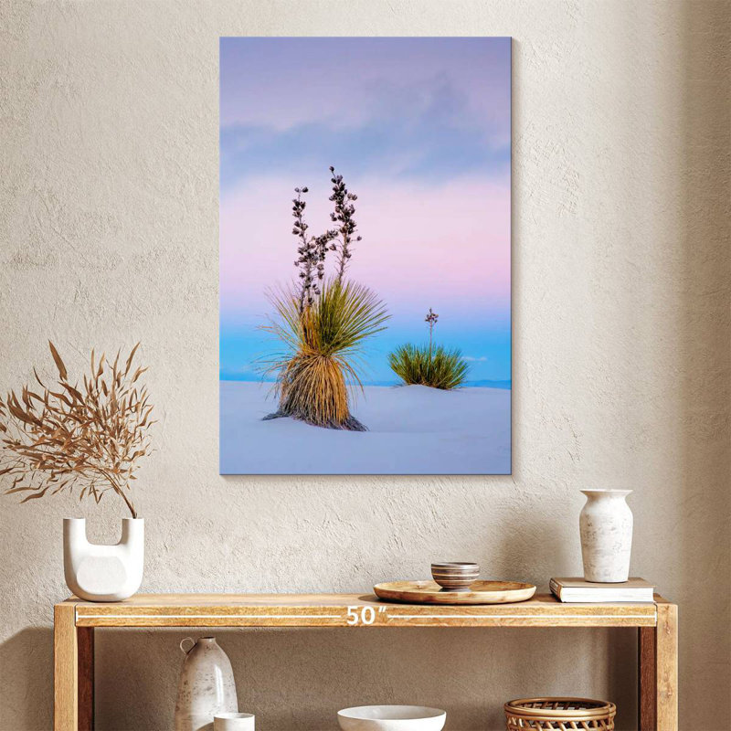 Yucca Soaptree, H 39 po x l 26 po