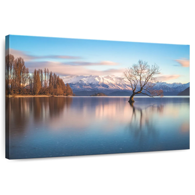 Alvord, célèbre arbre du lac Wanaka, H 20 po x l 30 po