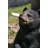 Animals Weather Resistant Water Resistant UV Resistant Polyresin Garden Statue