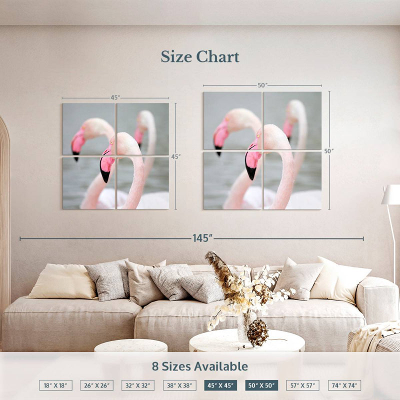 Flamants roses Brampt