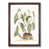Walnut Framed