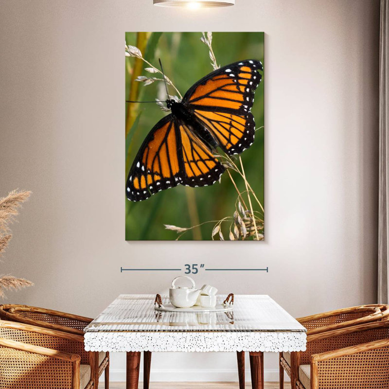 Brampt Monarch Butterfly Up Close, 51" H x 34" W