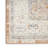 Nourison Essentials Persian Beige/Blue Indoor/Outdoor Area Rug-1074383927
