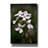 Epic Graffiti 'Dames Rocket' by Rick Berk Canvas Wall Art-109181008