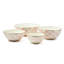 Rosy Check Large Everyday Bowl-1066455459