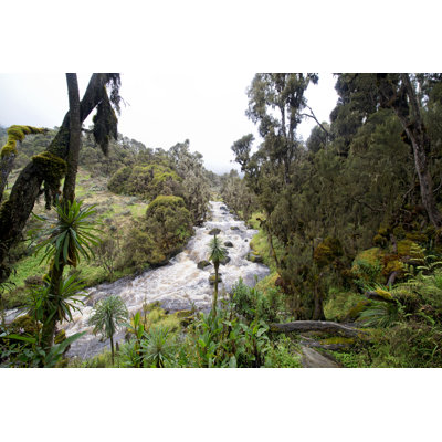 Bujuku River - Wrapped Canvas Print
