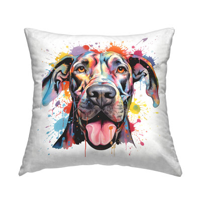 Throw Pillow