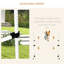Exercise Pens and Yard Kennels