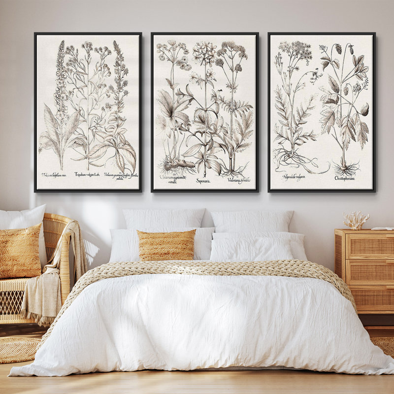 Ensemble de 3 pièces encadrées sur toile sépia Besler Botanicals, H 27 po x l 54 po, Noir