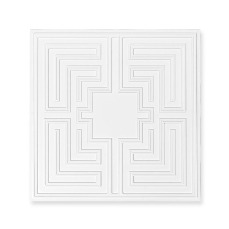Ceiling Tiles 12-Pack 24 x 24 in PVC Easy Installation White Echo Pattern