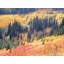 Paradise Valley Autumn Print by Bruce Heinemann-65849018-65824828