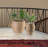 Carmelita Indoor Pot Planter