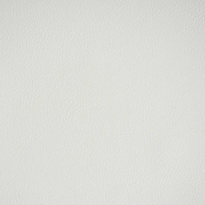 Vegan Leather Indoor/Outdoor Fabric