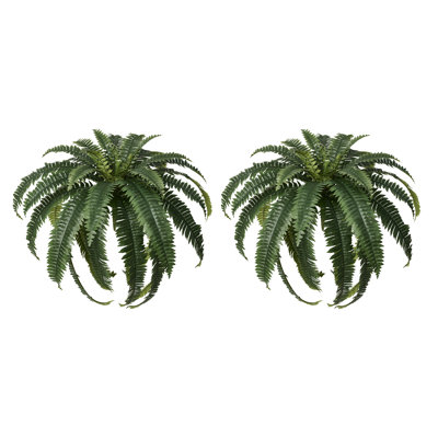 Adcock 39" Fern Plant