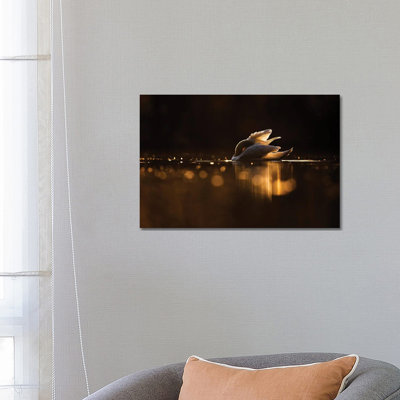 Hidden by Mateusz Piesiak - Wrapped Canvas Print