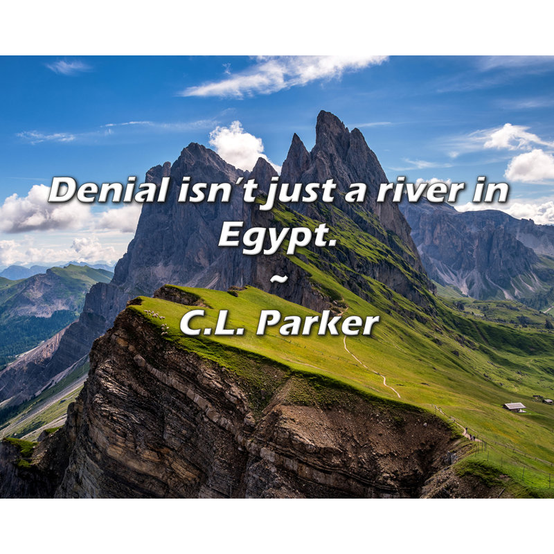 Citation artistique «Le déni n'est pas seulement une rivière en Égypte». Par C.L. Toile tendue avec galerie Parker